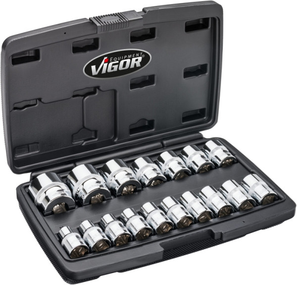 VIGOR dubbele inbussleutelset, hol vierkant 12,5 mm (1/2 inch), extern dubbel zeskantprofiel, aantal gereedschappen: 17, V7512/17