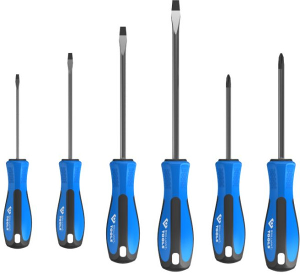 Brilliant Tools 6-delige gleufschroevendraaierset PH Phillips BT031000