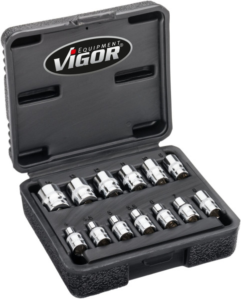 VIGOR dubbele zeskant doppenset, hol vierkant 6,3 mm (1/4 inch), extern dubbel zeskant profiel, 25 mm, aantal gereedschappen: 13, V7514/13