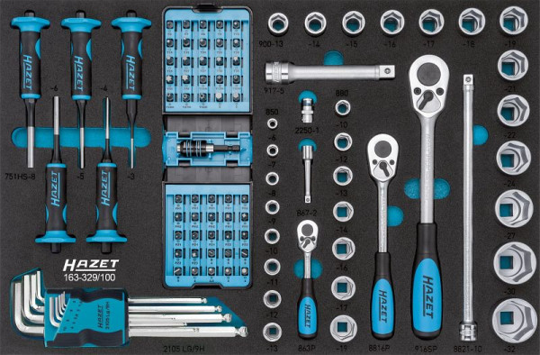 Hazet gereedschapsset, hol vierkant 6,3 mm, hol vierkant 10 mm, hol vierkant 12,5 mm, volle zeskant 6,3, aantal gereedschappen: 100, 163-329/100