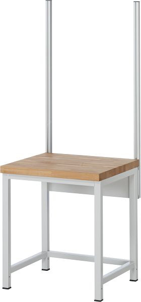 RAU montageset met 2 systeemsteunen, voor diverse modellen, 750x1150x42 mm, EE-BW214-0750G.12