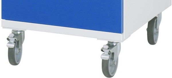 RAU rollenset met draadplaten, 100x125x20 mm, 09-RS100G-2LF-2L-DP