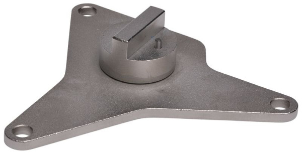 SW stalen nokkenasafstelgereedschap, te gebruiken als OE-nummer 2.000.034.400, 26194L-1