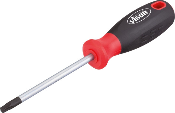 VIGOR TORX® schroevendraaier, binnen TORX® profiel, T30, V3392