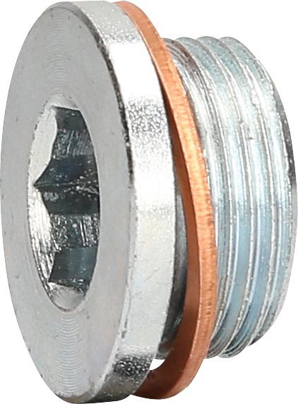 KS Tools olieaftapplug M22 x 1,5 x 13 mm voor Renault, 430.0602
